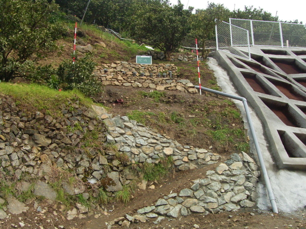 地辷三2(17)第1号