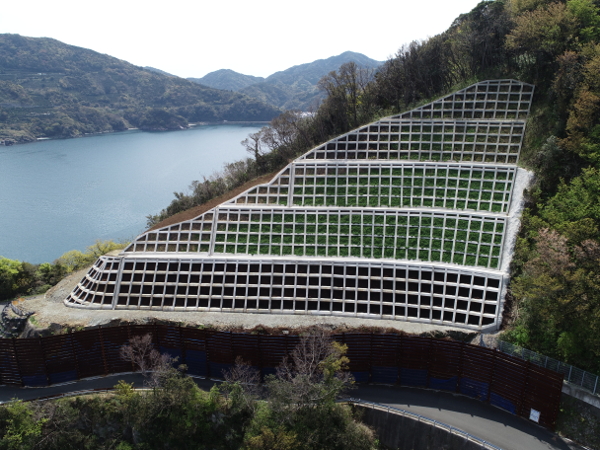 防交防(緊)第26号の2