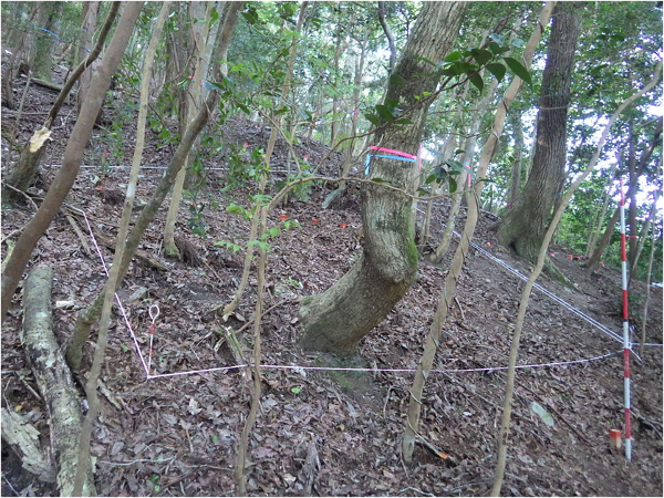 宮前排水ボーリング工事